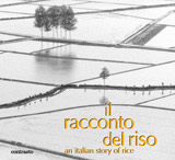 Il racconto del riso - Gianni Berengo Gardin
