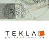 Creazione del logo TEKLASTYLE