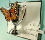 Transform Awards 2011