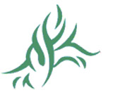 Logo del progetto \
