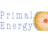 Primal Energy 2013