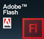 Adobe Flash Multilivello: Base / Intermedio / Avanzato