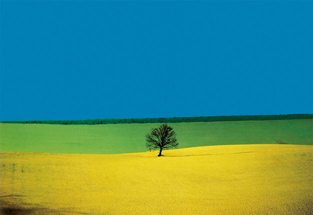 8 GIUGNO 2018 / EVENTO ILAS  LECTIO MAGISTRALIS DI FRANCO FONTANA