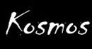 Premio Kosmos per l\'arte