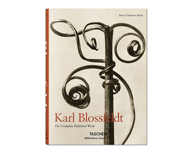 Karl Blossfeldt. L'incanto della flora.