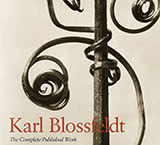 Karl Blossfeldt. L\'incanto della flora.