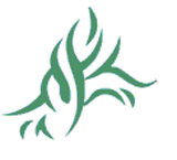 Logo del progetto \