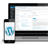 Modulo extra Wordpress 2015 - Materiali Prof. Riccio