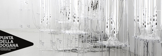 IL GARBAGE PATCH STATE. Maria Cristina Finucci