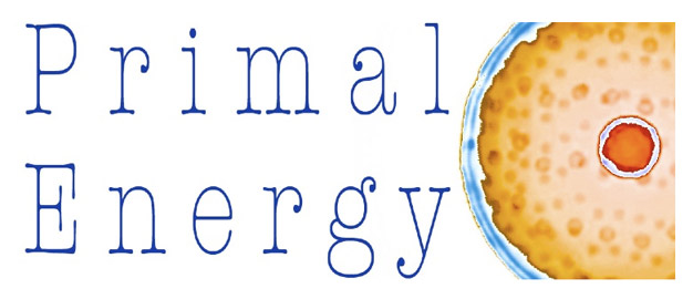 Primal Energy 2013