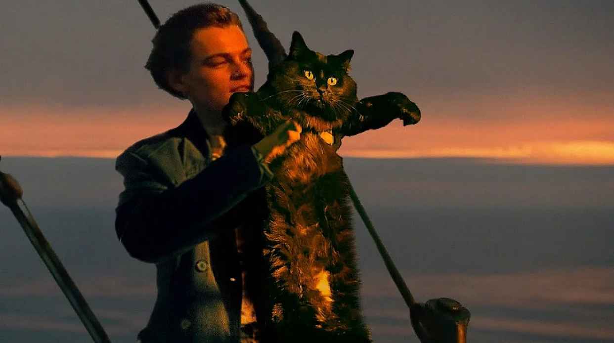 Questa coppia ha inserito un gatto in Titanic