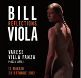 REFLECTIONS - BILL VIOLA