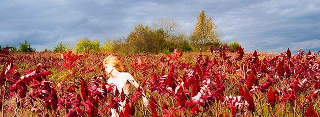 RYAN McGINLEY. The Four Seasons