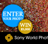 Sony World Photography Award 2013